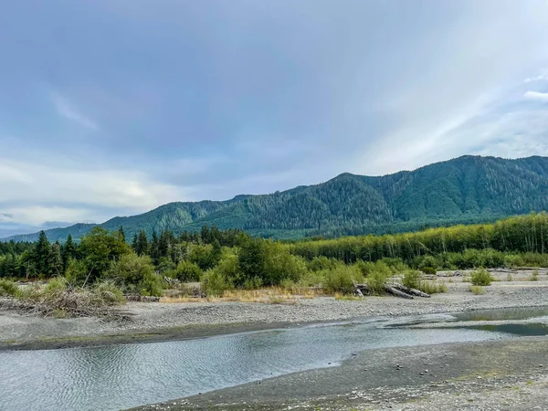 Hoh Rainforest Ligt Het Olympische Schiereiland Het Noordwesten Van Stille — Stockfoto