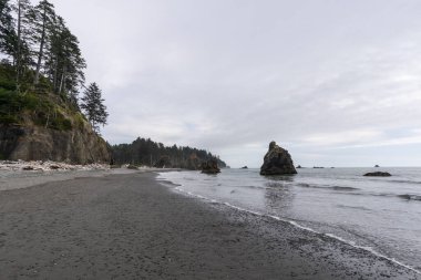 Ruby Beach, ABD 'nin Washington eyaletindeki Olympic National Park' ın kıyı kesiminin en kuzeyindeki plajdır. Forks kasabasının 27 mil güneyinde, Jefferson County 'de 101. Otoyol' da yer almaktadır..