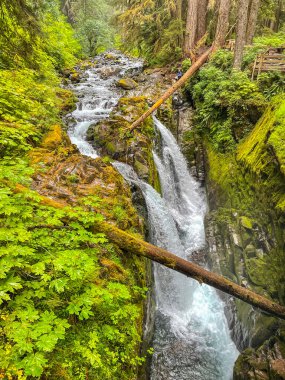 Sol Duc Vadisi 'ndeki Sol Duc Şelaleleri Olimpiyat Ulusal Parkı' nın en güzel şelaleleri olarak adlandırılıyor ve Sol Duc Kaplıcaları Resort ve Kampı 'na birkaç kilometre uzaklıkta yer alıyor..