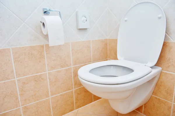 Umywalka sanitarna WC lub miski i papieru — Zdjęcie stockowe