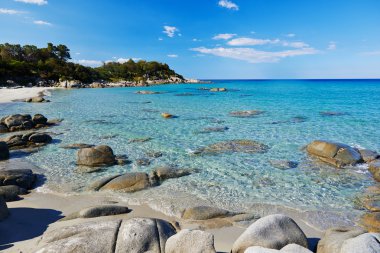 Deniz tropikal plaj turkuaz su ile