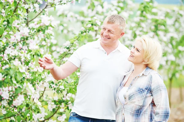 Casal adulto sorridente no pomar de maçã flor — Fotografia de Stock