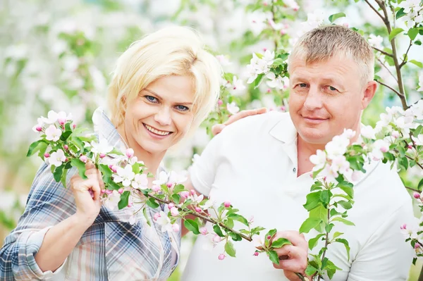 Lächelndes erwachsenes Paar im blühenden Apfelgarten — Stockfoto