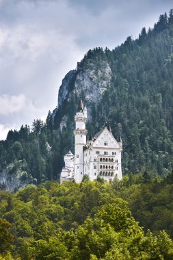 Alman Neuschwanstein Şatosu