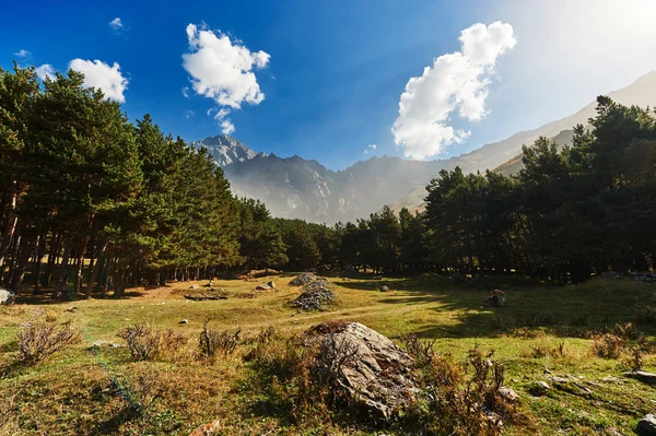 Казбек гори panorama — стокове фото