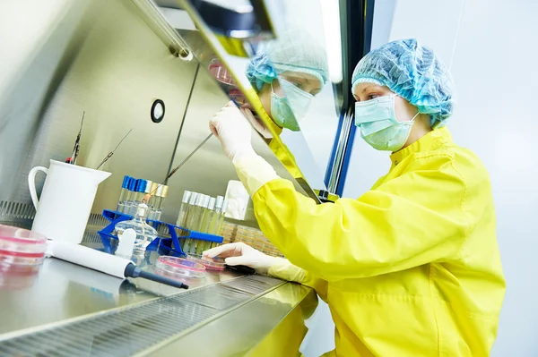 Female researcher works with dangerous hazard virus material — Stock Photo, Image