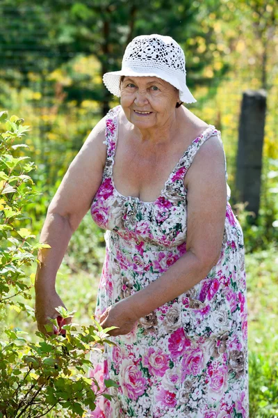 Joyful Caucasian Elderly Woman Gardening Looking Camera Summer — Stock Photo, Image