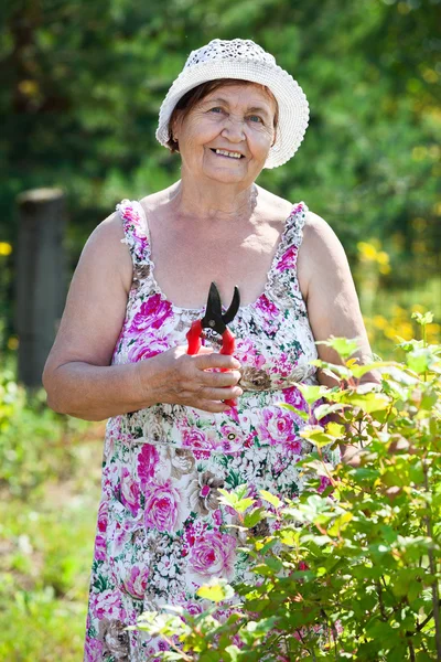 Äldre Kaukasiska Kvinna Skära Grenar Anläggningen Med Beskärare — Stockfoto