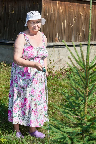 Pension Age Caucasian Woman Pouring Water Firtree Hose — Stock Photo, Image