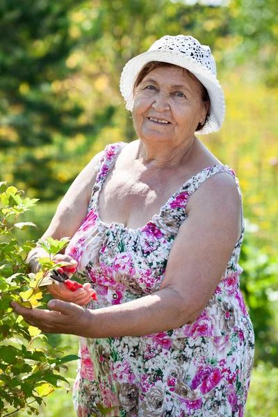 夏天在自家花园里工作的白种人老太太 — 图库照片