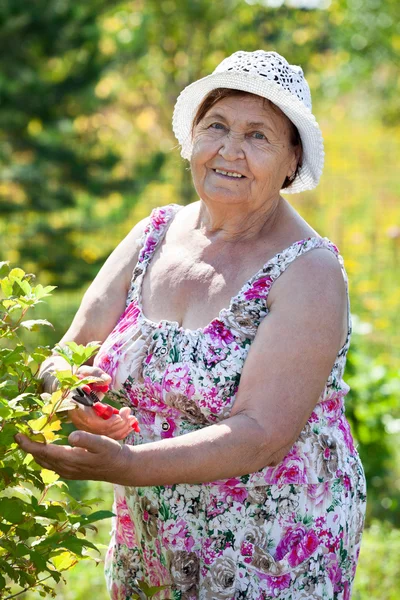 Senior Cheerful Caucasian Woman Work Own Garden Summer — Stock Photo, Image