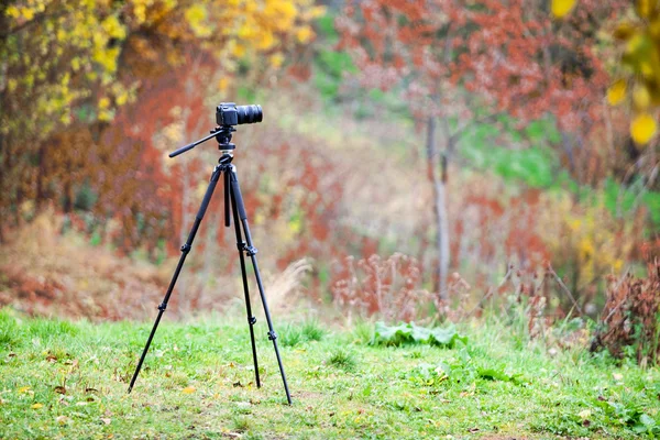 森の中の紅葉の芝生の上にカメラレンズを持つ三脚 — ストック写真