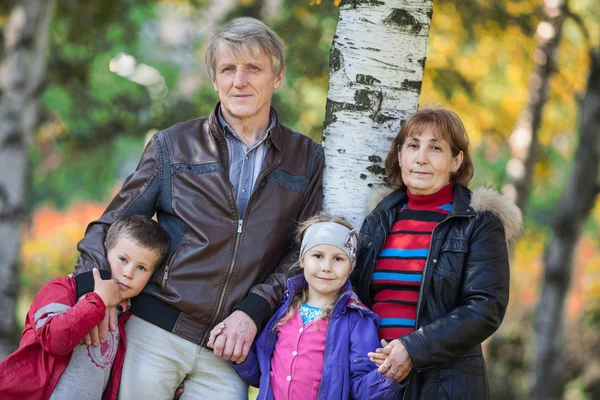 Padre Madre Figlio Figlia Insieme Vicino All Albero Nel Parco — Foto Stock