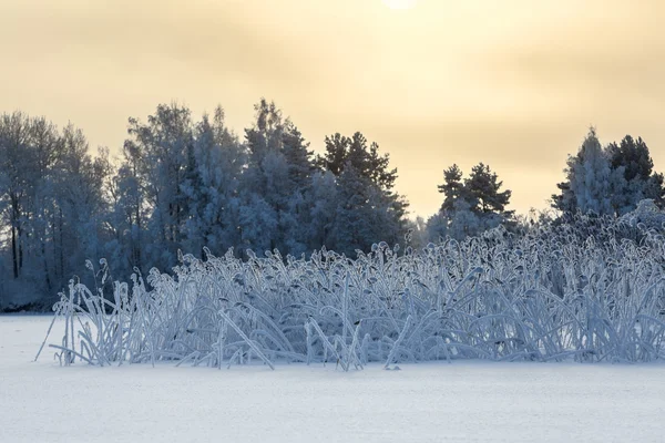 Lago Costero Cubierto Nieve Con Cielo Sol —  Fotos de Stock