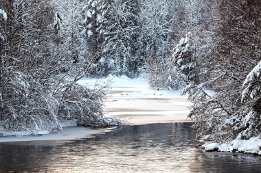 Kış mevsiminde göl adaları arasında açık su yüzeyi