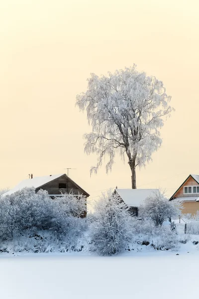 Byn Frusen Sjöstrand Med Snötäckta Tak Och Träd Vintern — Stockfoto