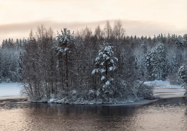 Snow Covered Winter Lake Shore Open Unfrozen Water Day — Stock Photo, Image