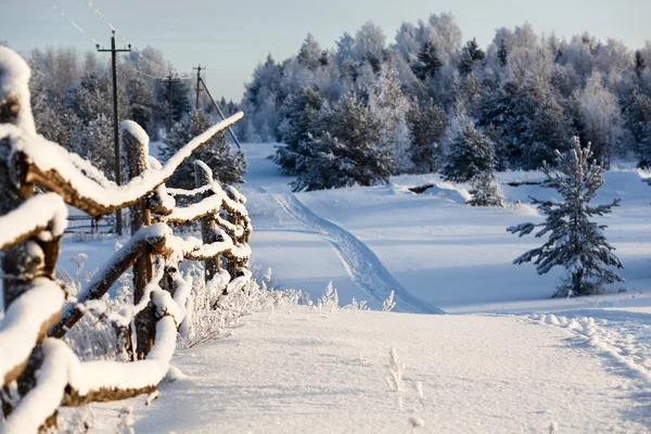 Paesaggio Rurale Invernale Con Recinzione Legno Strada Innevata Nella Foresta — Foto Stock