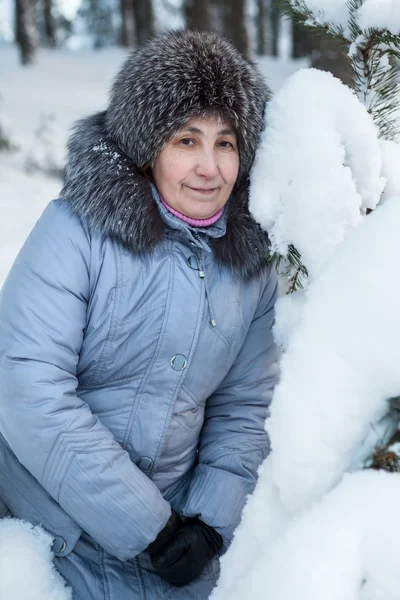 Веселая Женщина Теплой Одежде Зимой Рядом Снежной Сосновой Ветвью — стоковое фото