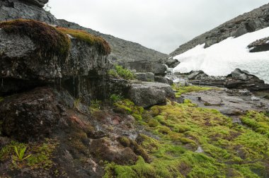 Yaz mevsiminde, eriyen buzulların arasındaki dağ nehri.