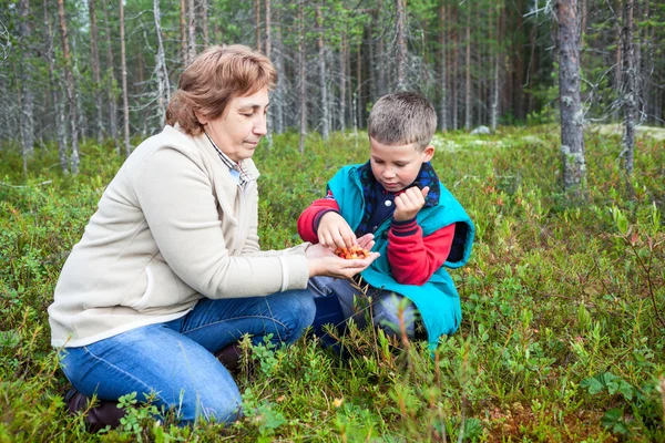 成熟的母亲和她的儿子坐在森林沼泽地里吃云莓 — 图库照片