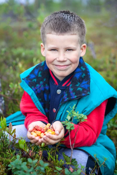 Small Cute Boy Gathering Cloudberries Forest Marsh — Stock Photo, Image