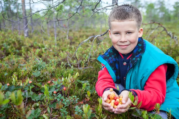 十几岁的男孩坐在森林沼泽地上 手里拿着一把成熟的云莓 复制空间 — 图库照片
