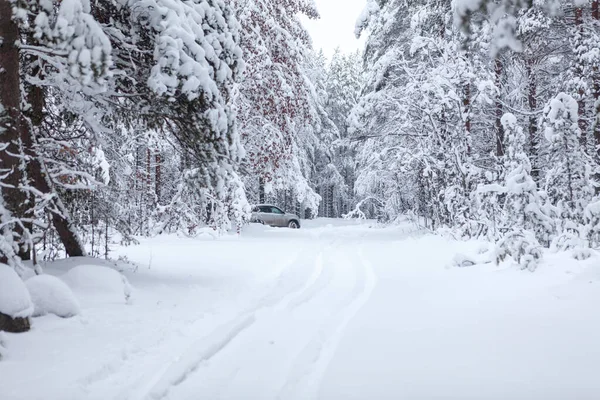 雪に覆われた道路で雪に覆われた冬の森を走る乗用車 — ストック写真