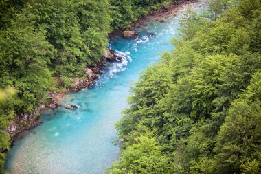 Tara Nehri, Durdevica Köprüsü 'nün altındaki Kanyon' da akıyor. Durmitor Ulusal Parkı 'nda. Zabljak belediyesinin kuzeybatısında yer almaktadır. Avrupa