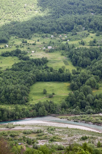Bauernhöfe Liegen Berghängen Durmidor Massiv Über Dem Fluss Tara Nordwestmontenegro — Stockfoto