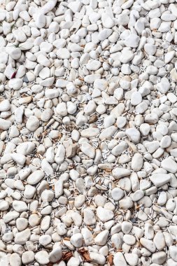 Sigara izmaritleri çakıl taşlarında, sigara içtikten sonra kalan sigaranın küçük parçaları, arka planda.