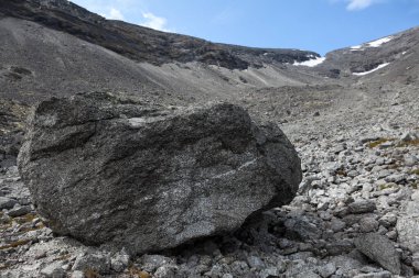 Eski dağ sıralarından düşen bir kaya tanesi, Khibiny dağlarının aşınması. Kola Yarımadası, Rusya