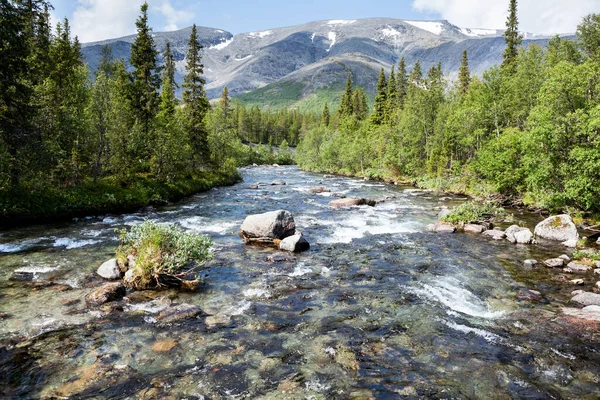 Río Montaña Con Flujo Rápido Los Bosques Del Macizo Khibiny —  Fotos de Stock