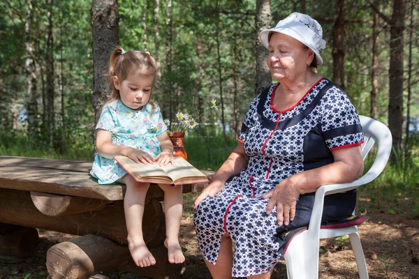 Niña Tratando Leer Libro Con Abuela Verano Bosque Pinos Soleado —  Fotos de Stock