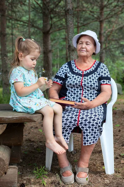 Ellerinde Tarla Çiçekleri Olan Küçük Bir Kız Büyükannesine Yakın Olan — Stok fotoğraf