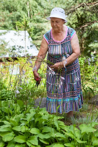 Oma Schnittblumen Mit Trimmer Garten Eine Reife Frau — Stockfoto
