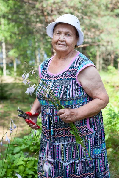 Χαρούμενη Ηλικιωμένη Κυρία Ψαλίδι Στα Χέρια Στέκεται Στον Κήπο Της — Φωτογραφία Αρχείου