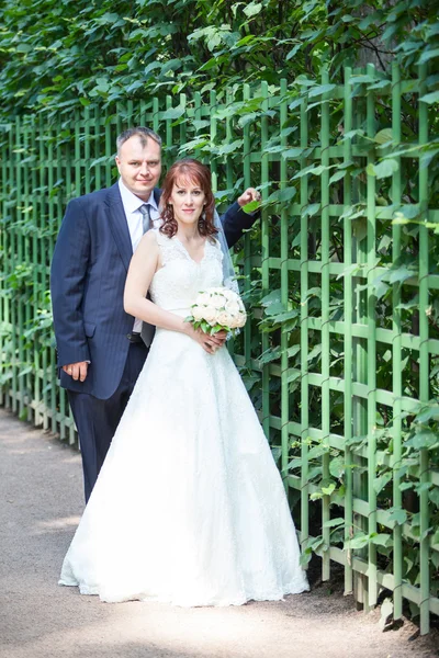 Just merried couple — Stock Photo, Image