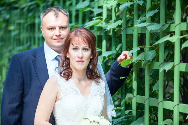 Matrimonio coppia ritratto — Foto Stock