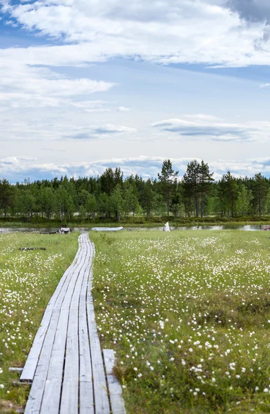 Planches en bois à l'eau — Photo