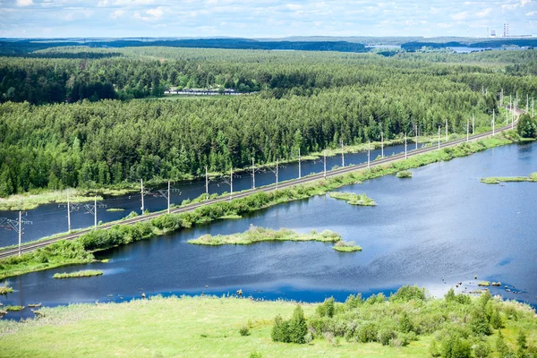 Estrada ferroviária com bosques perenes — Fotografia de Stock