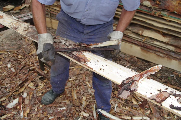 Uomo preparare tronchi di legno — Foto Stock