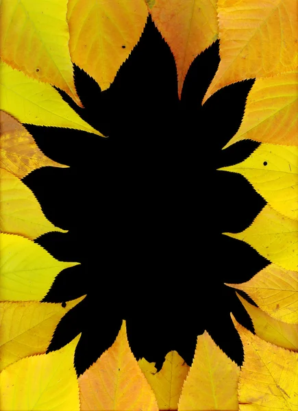 Herfstbladeren op zwart — Stockfoto