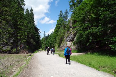 Tatry, Zakopane, Dolina Koscieliska Polonya