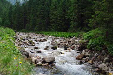 Tatry, Zakopane, Dolina Koscieliska Polonya