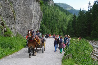 Tatry, Zakopane, Dolina Koscieliska Polonya