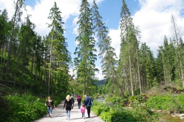 Tatry, Zakopane, Dolina Koscieliska Polonya