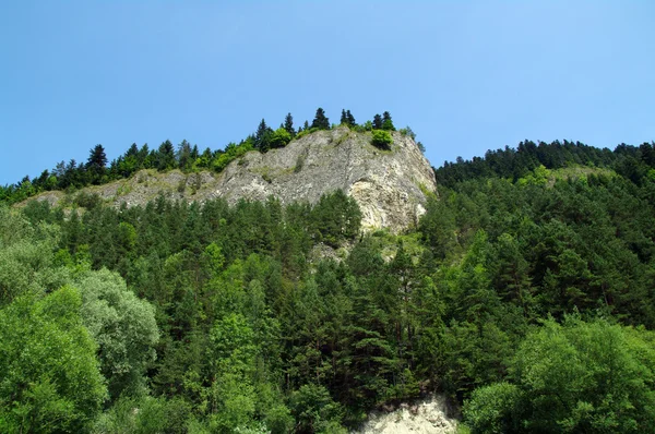 KROSCIENKO DUNAJCEM, POLÓNIA — Fotografia de Stock