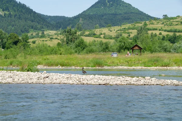 Kroscienko Nad Dunajcem, Польща — стокове фото