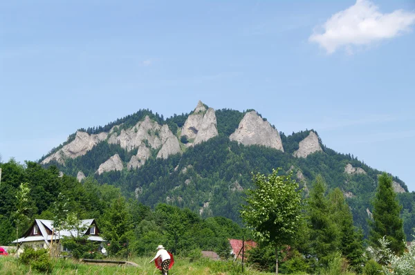 Kroscienko nad dunajcem, polen — Stockfoto